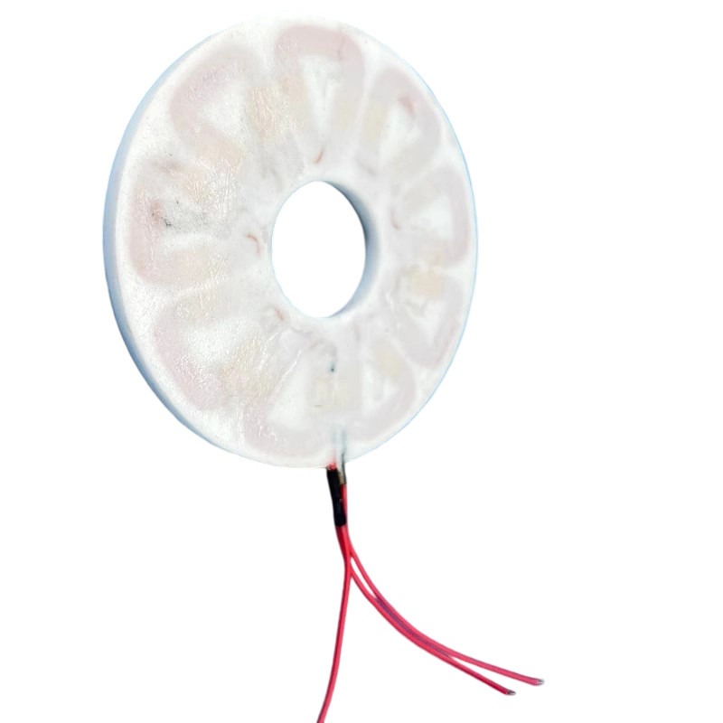 Bobina de disco sin núcleo tri - Wind Turbine Generator reseña y precio